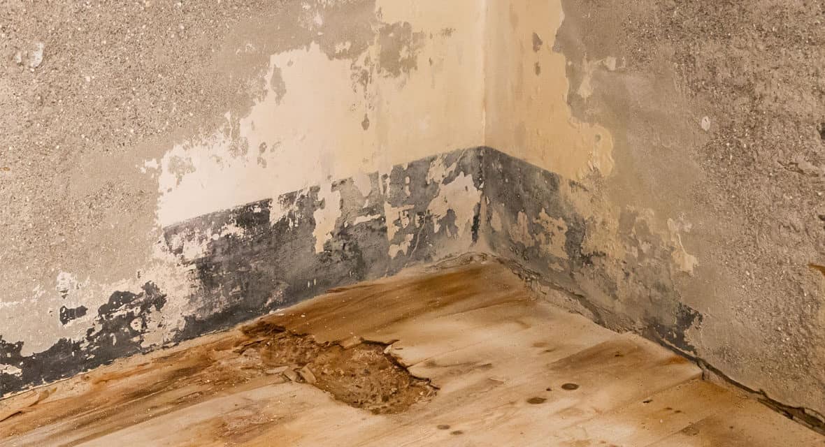Water Damage: What to Check for When Purchasing a Pre-Owned Home